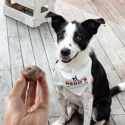 Doggie Cake Bites