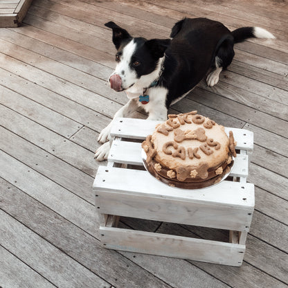 Dog Birthday Cake